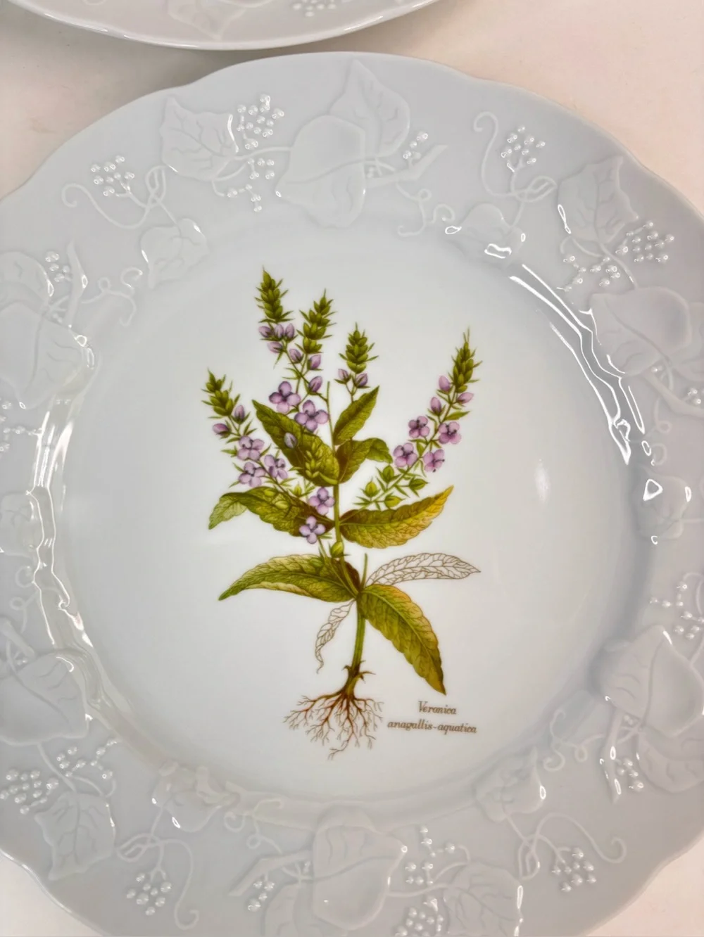 Dansk Ivy Embossed White Porcelain Flower Botanical Luncheon Plates France Set 4